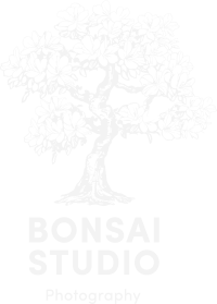 Bonsai studio